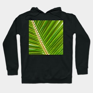 Tahiti Palm Leaf Hoodie